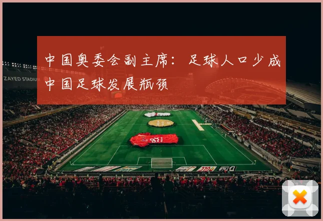 中国奥委会副主席：足球人口少成中国足球发展瓶颈