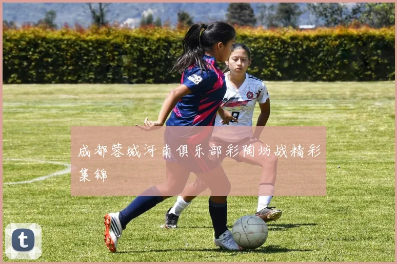 成都蓉城河南俱乐部彩陶坊战精彩集锦